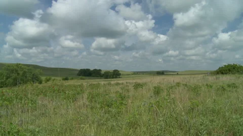 Prairie Wild with nice clouds Stock Footage 137606582