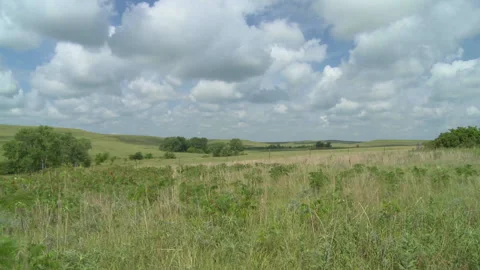 Prairie Wild with nice clouds Time Lapse Stock Footage 137606561