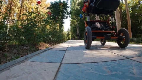 Pram in the park 스톡 동영상 238399765