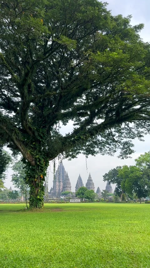 Prambanan Hindu temple Stock Footage 338012058