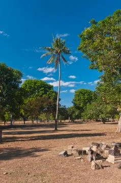 Prambanan temple, java, indonesia Fotos Stock