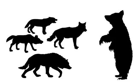Prance bear against wolf pack vector silhouette illustration イラスト素材