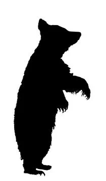 Prance bear looking for food vector silhouette Stock Illustration