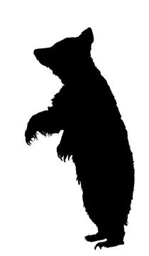Prance bear looking for food vector silhouette Stock Illustration