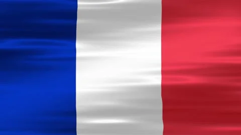 Prancis Flag Wave New Stock Footage 219550932