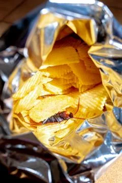 Prank cockroach in a bag of potato chips Stock Photos