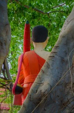 Prasiwalee Stock Photos