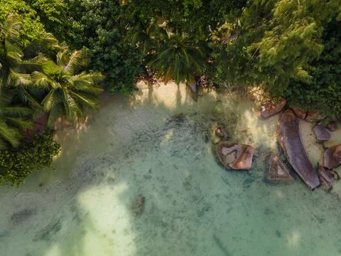Praslin Seychelles tropical island with withe beaches and palm trees, beach of Stock Photos