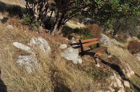 Prastio nature path. Stock Photos