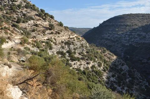 Prastio nature path. Stock-Fotos