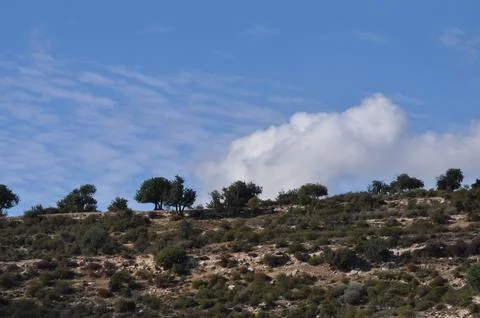 Prastio nature path. Stock-Fotos