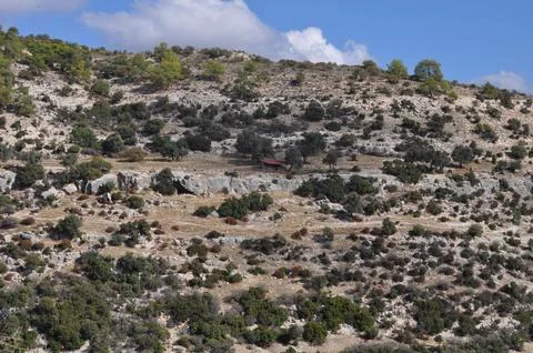 Prastio nature path. Stock Photos