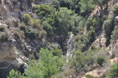 Prastio nature path. 스톡 사진