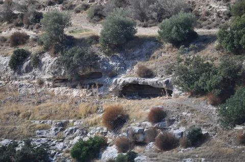 Prastio nature path. Stock Photos