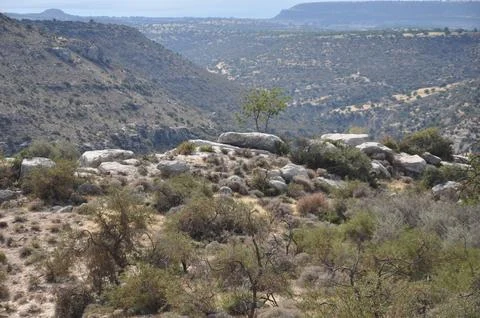 Prastio nature path. Stock Photos