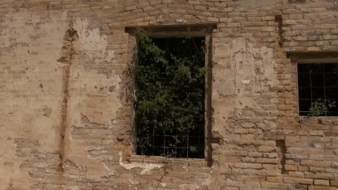 Prat cuartel barracks abandoned ruins window plants Stock Footage 107186140