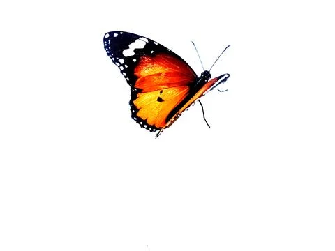 PRAVIN-BABA-1419 Stock Illustration