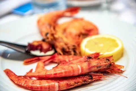 Prawn dish with lemon Stock Photos