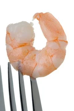 Prawn on a fork Stock Photos