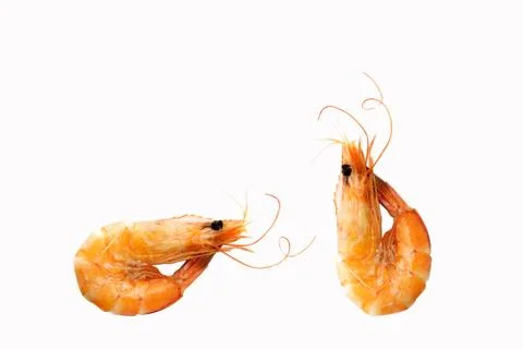 Prawn on fork on white background Stock Photos