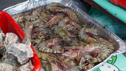 Prawn in the market Stock Footage 300736337