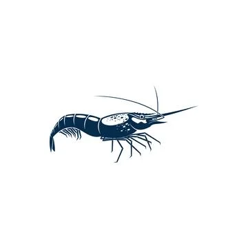 Prawn or shrimp isolated vector marine animal Stock Illustration