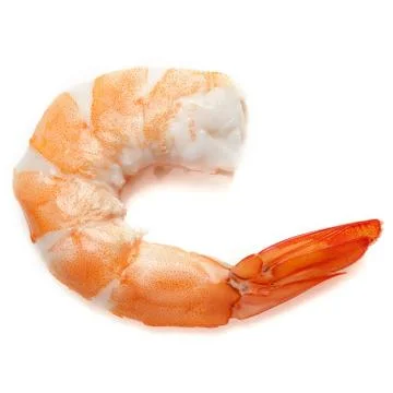 Prawn Stock Photos
