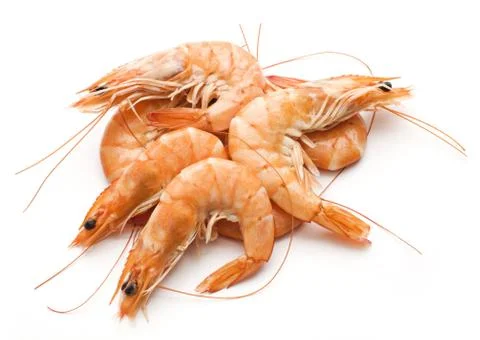Prawn Stock Photos