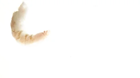 Prawn tails floating in water (white background) Stock Footage