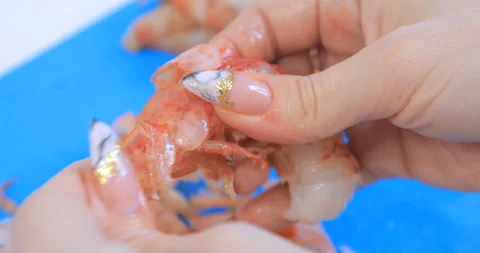 Prawns clean in the kitchen Video stock 145956924