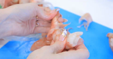 Prawns clean in the kitchen Video stock 145957053
