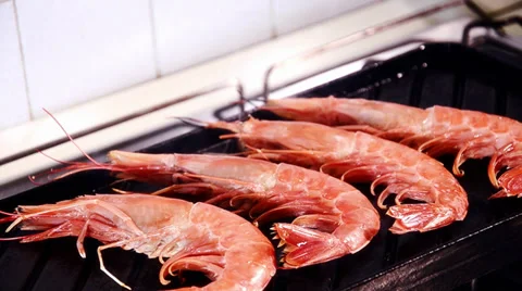 Prawns Stock Footage 31189807