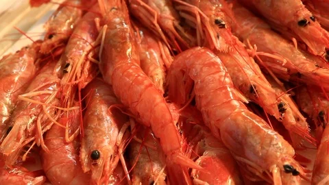 Prawns group. Very slow movement. Zoom in. Stock Footage 98616283