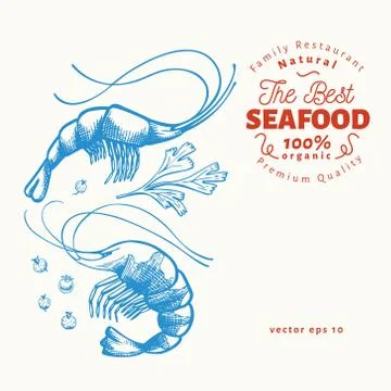 Prawns illustrations. Hand drawn vector seafood illustration. Engraved style. Illustrazione stock