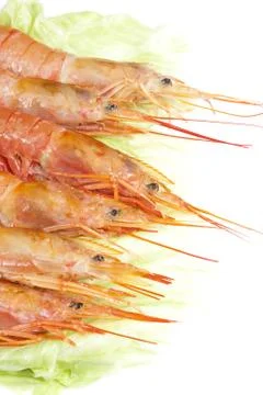 Prawns Foto stock