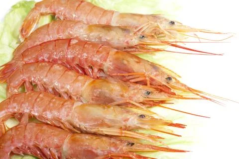 Prawns Stock Photos