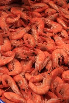 Prawns Stock Photos