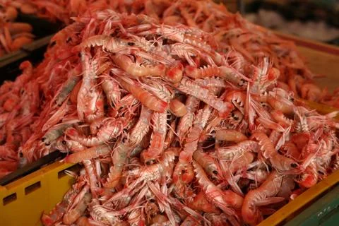 Prawns for sale at a fish market in Croatia Stock Photos