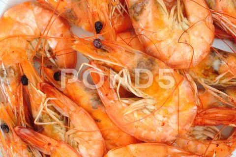 Prawns, shrimps Stock Photos