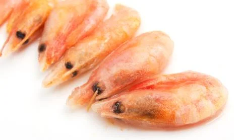 Prawns on a white background Stock Photos
