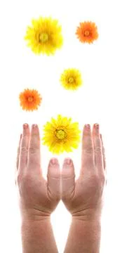 Pray for blessing Stock Photos