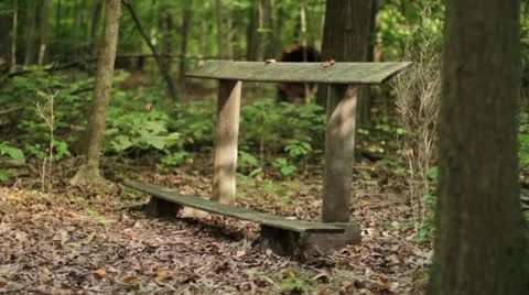 Prayer Altar in Woods Stock Footage 12098730
