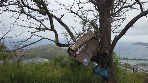Prayer Box with Island View Stock Footage 155364068