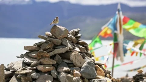 Prayer flag. Tibet Stock Footage
