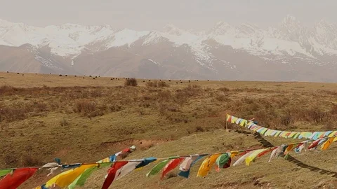 Prayer flags. Stock Footage 92668033