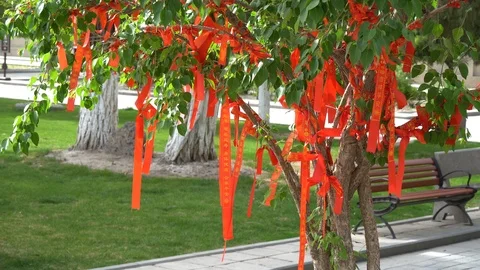 Prayer flags at Giant Buddha Temple, Zhangye, China Stock Footage 104654341