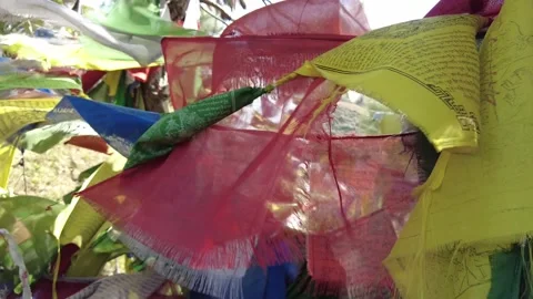 Prayer flags hanging through the trees Stock Footage 228456992