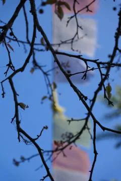 Prayer Flags of Nepal 库存照片