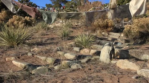 Prayer Flags No.30 Vidéo 45404944