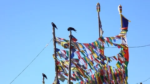 Prayer Flags on Pole with Crows in Leh Ladakh, Northern India 스톡 동영상 96094556